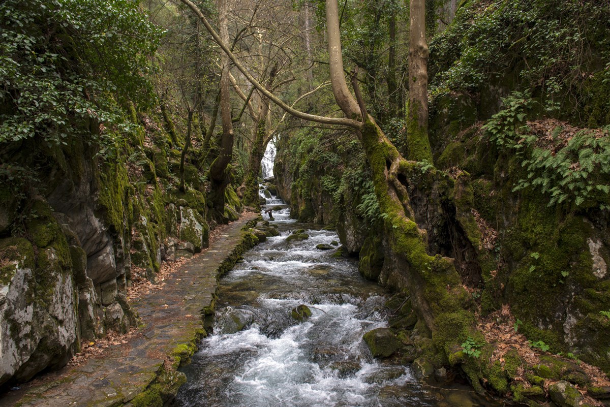 Ayazma Kazdağları