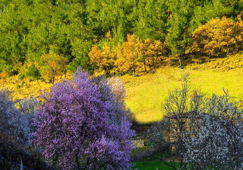 Ayazma Kazdağları