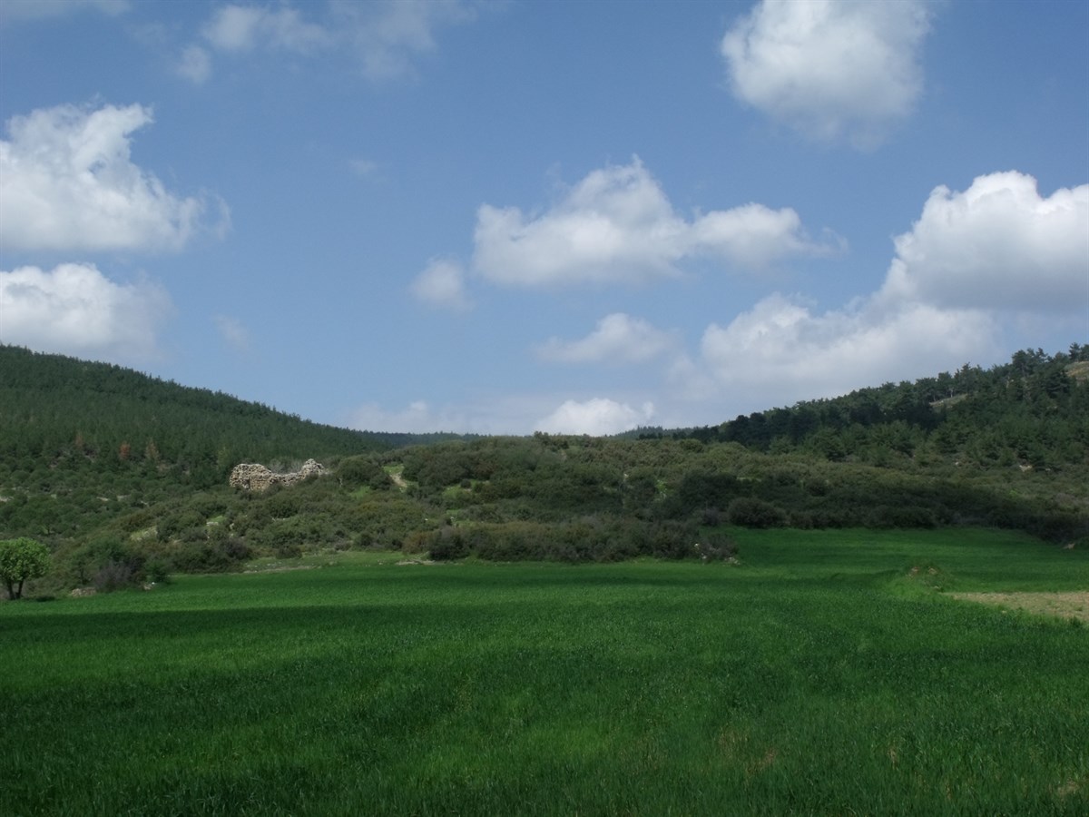 Kalealtı Kalesi