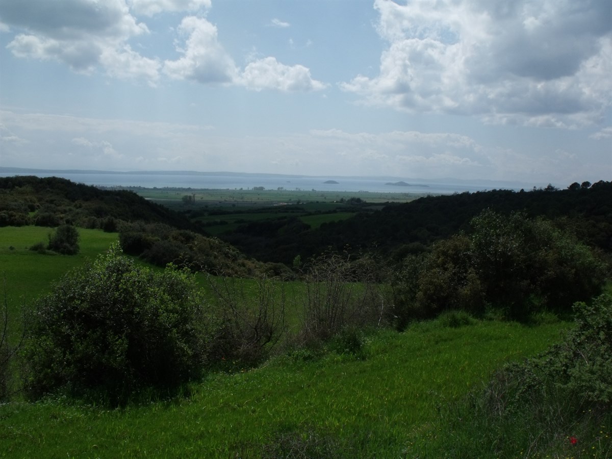 Kalealtı Kalesi