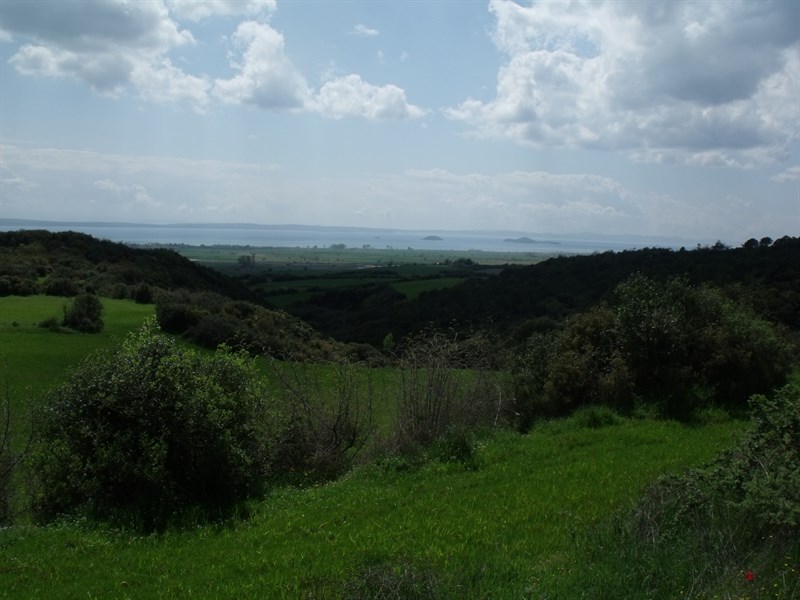 Kalealtı Kalesi