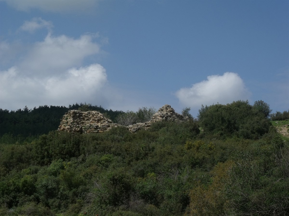 Kalealtı Kalesi