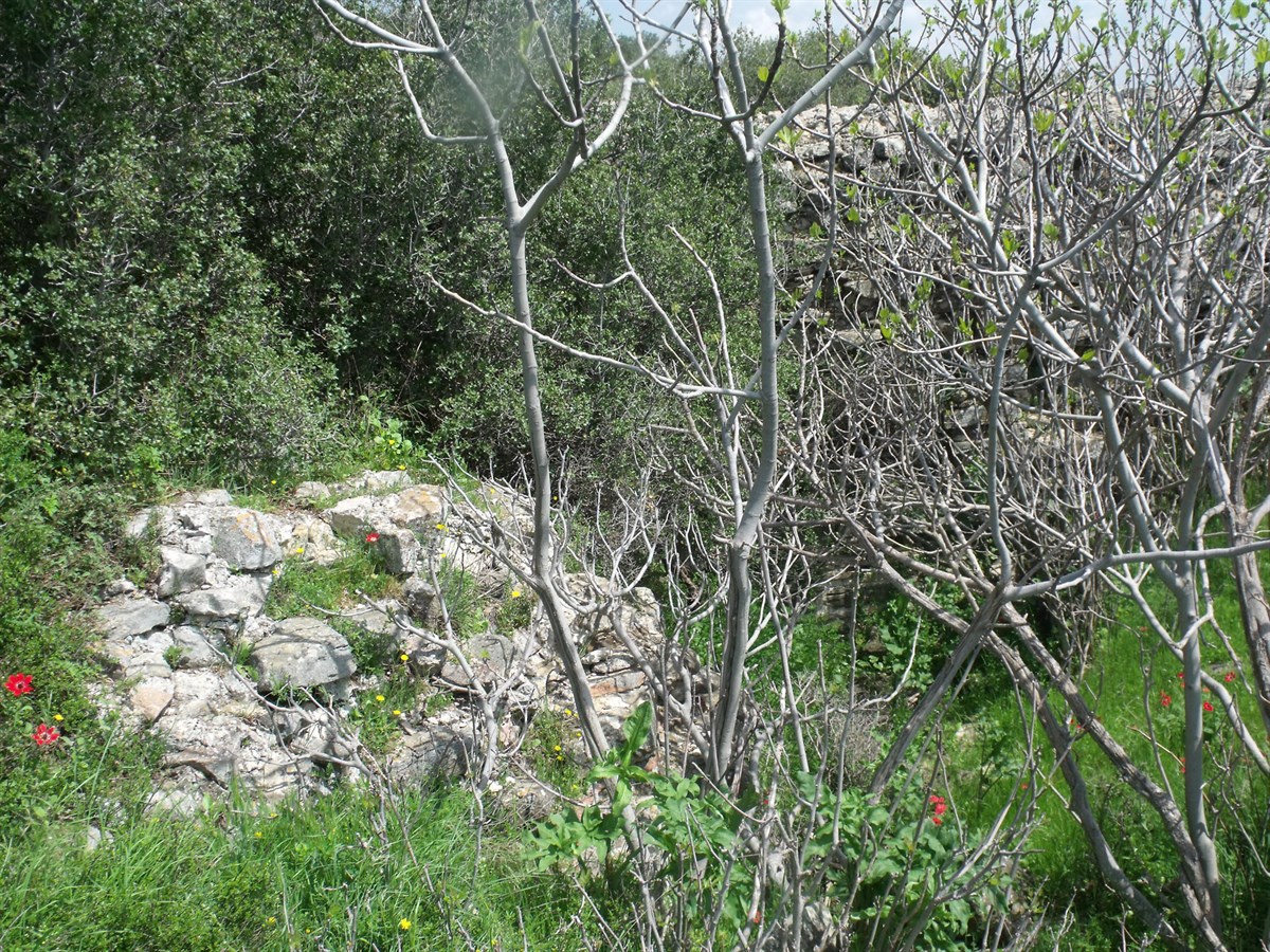Kalealtı Kalesi