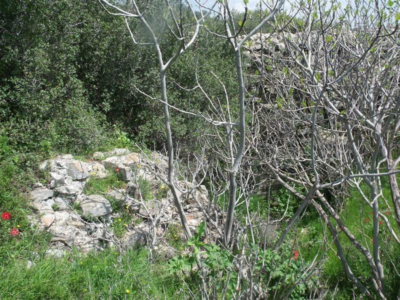 Kalealtı Kalesi