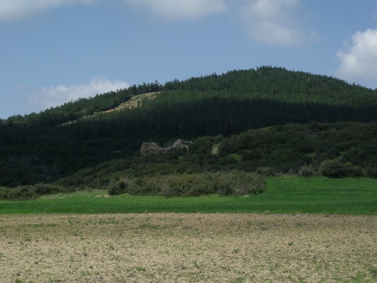 Kalealtı Kalesi