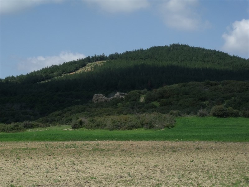 Kalealtı Kalesi